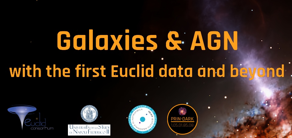 Galaxies & AGN with the First Euclid data and beyond