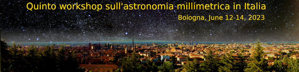 Fifth Workshop on Millimetre Astronomy in Italy