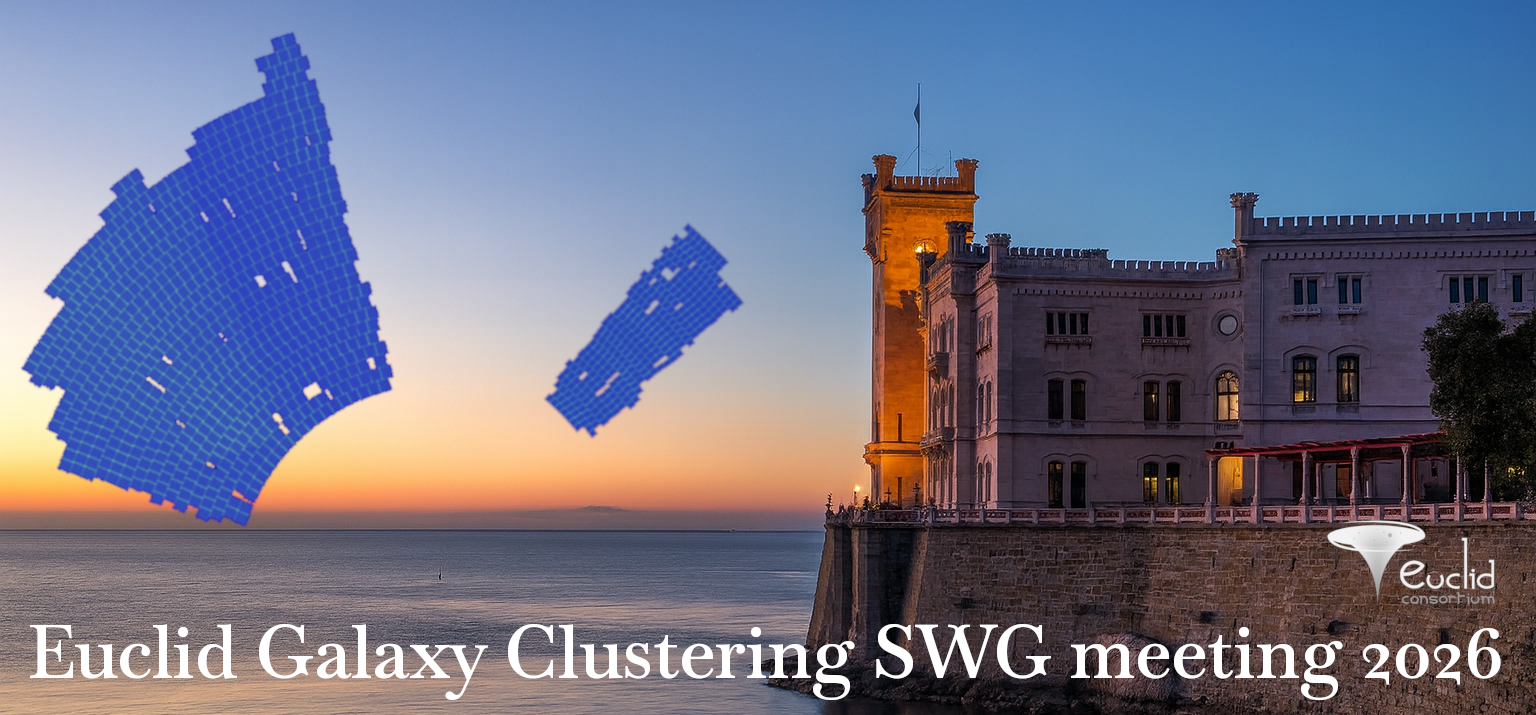 Galaxy Clustering SWG