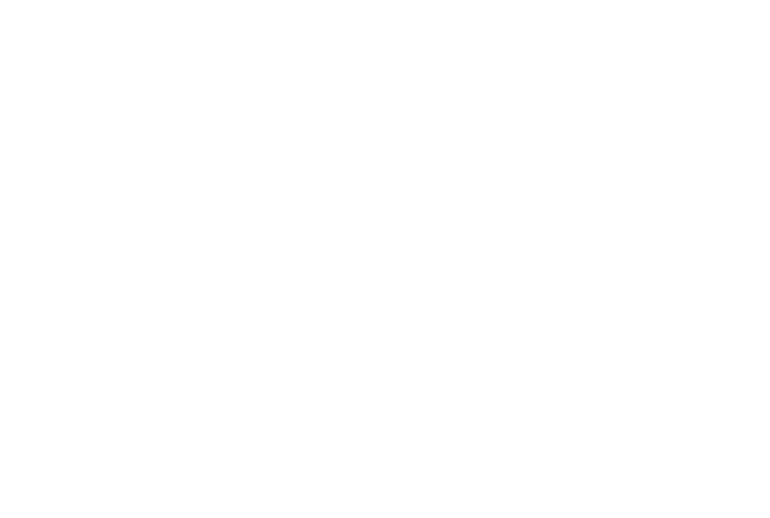 XLVI National Congress of the Italian Society for the History of Physics and Astronomy