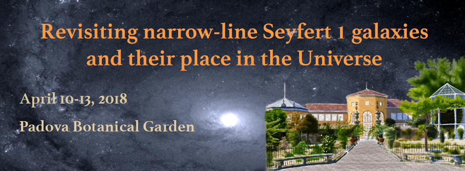 Revisiting narrow-line Seyfert 1 galaxies and their place in the Universe
