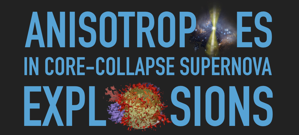 Anisotropies in core-collapse supernova explosions