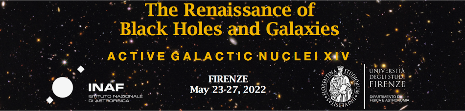 Active Galactic Nuclei XIV: The Renaissance of Black Holes and Galaxies